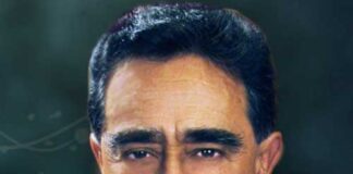 Los partidos y las alianzas .