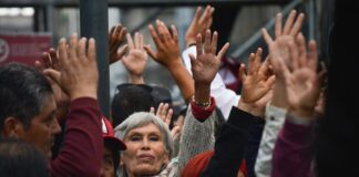 Diputados dan paso para extinguir INAI y CONEVAL ¿Y el acceso a la información para las mujeres?