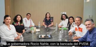 Nahle y el cuidado de las formas; de inicio, pinta bien .
