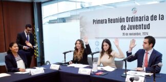 Hacer realidad una ley general para las y los jóvenes del país, trabajo de la Comisión de Juventud: Paloma Sánchez.