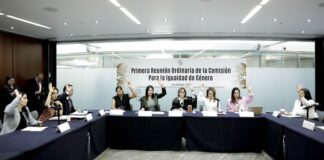 Comisión para la Igualdad de Género, comprometida con la construcción de un México más feminista e igualitario