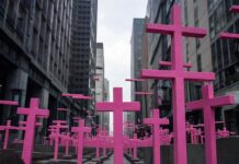 Ley General del Feminicidio deberá prevenir y reparar daño o será simbólica: OCNF.