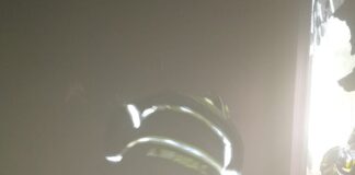 Fallece una persona por incendio en Plaza Galerías Insurgentes #CDMX