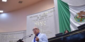 Consulta Ciudadana ante megaobras de infraestructura, propone diputado @legisver