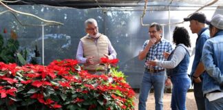 Xalapa continuará siendo la Ciudad de las Flores: Alberto Islas