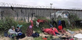 Comentario obligado para mis lectores.