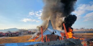 Se estrella un avión en Corea del sur dejando 29 muertos al momento