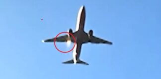 Un “choque con un pájaro”, posible causa del accidente del avión surcoreano.