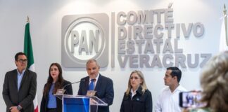 Extinción de organismos autónomos perfila el autoritarismo en México: PAN Veracruz.