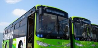 NL: “Bisne” del “hermano incómodo”