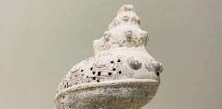 Termina la búsqueda de un caracol huasteco .