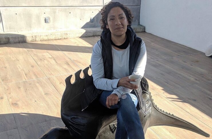 SCJN ordena revertir libertad a responsables por desaparecer a defensora Claudia Uruchurtu