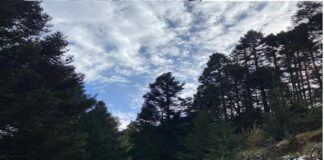 Rescatan con vida a xalapeños perdidos en el cofre de Perote #Veracruz