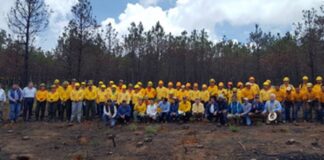Los corridos de las delegaciones federales .