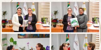 Recibe Congreso de Veracruz informes de labores del Orfis y Trijaev.