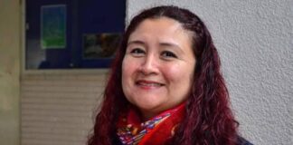 Veracruz cierra 2024 con más de 130 muertes violentas de mujeres y 758 desaparecidas: OUV