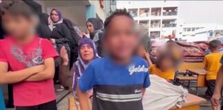 Amnistía Internacional acusa a Israel de genocidio en Gaza.