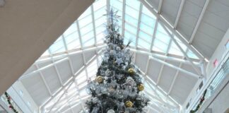 Operativo Diciembre, fiestas seguras en Veracruz