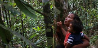 Mujer, naturaleza y patriarcado.