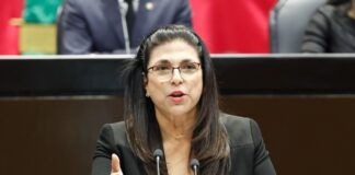 Programas de seguridad social para madres jefas de familia deben ser prioritarios y de interés público: Diputada