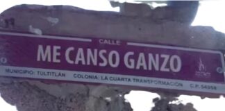 ¡“Me canso ganzo”!