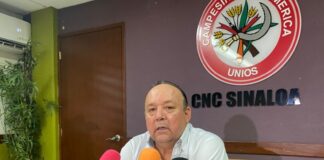 Campesinos se movilizarán en 32 estados por cancelación de programa Producción para el Bienestar