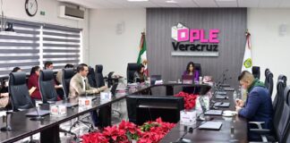 Comisión de Igualdad del OPLE VER recomienda ampliar periodo de lactancia y permiso de paternidad