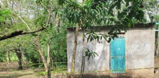 Atrapan a uno de los secuestradores de transportista en Pajapan #Veracruz