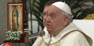 Francisco: El misterio de Guadalupe es para venerarla, lo demás son ideologías.