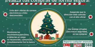 Alerta para evitar ser víctima de ciberdelitos en época decembrina.