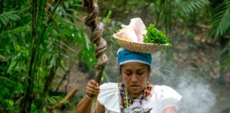 ¡Este periodo vacacional, ven y descubre por qué Veracruz está de moda!