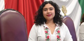 Aprueba Congreso incorporar protección animal a la Comisión de Medio Ambiente @legisver