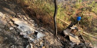 Siete personas fallecidas deja desplome de avioneta en Jalisco.