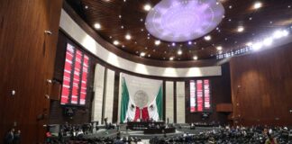 Propuesta de ley para sustituir a Compranet implica riesgos de opacidad y corrupción: Artículo 19