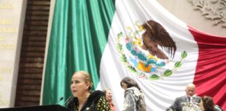 Proponen crear registros de menores huérfanos por feminicidio.