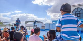 Aquarium del Puerto de Veracruz rompe récord de visitantes.