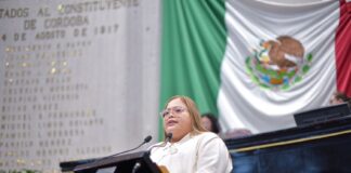 Veracruz: Proponen tipificar e incluir Violencia Vicaria en ordenamientos del estado.