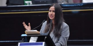 Trabajar coordinadamente en la tipificación de Violencia Vicaria, pide diputada @legisver .