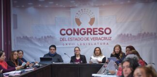 Continúa análisis de las aportaciones para tipificar la violencia vicaria @legisver