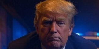 EL BÚFALO ANARANJADO.