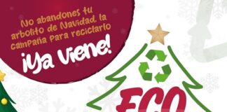 Veracruz promueve el reciclaje con la campaña Eco Navidad: ¡participa y cuida el ambiente!