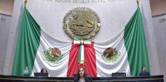 Pide diputada atender carreteras del estado.