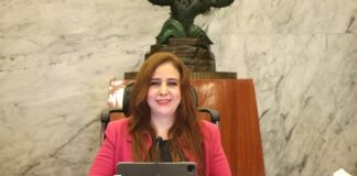 Ajuste por paridad en 44 municipios será para regidurías: Magistrada