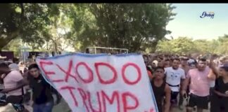 Más de 300 mil millones de dólares costaría una deportación masiva.