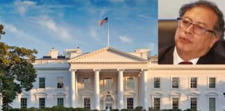 Tras amenazas de Trump Pietro cede y acepta acuerdo con Casa Blanca