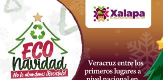 Invita Ayuntamiento de Xalapa a campaña de reciclaje de pinos navideños.
