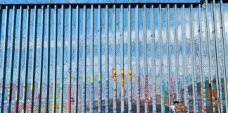 El presidente Trump sólo podrá aplicar sus nocivas políticas si los países de las Américas aceptan su juego: AI