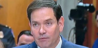 #MarcoRubio: Sobre la mesa nominar a cárteles mexicanos como organizaciones terroristas transnacionales