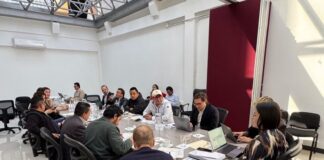 Morena y aliados se reparten 165 municipios en Veracruz .