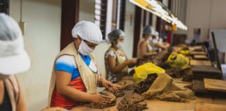 Persisten desafíos para las trabajadoras mexicanas: Red de Mujeres Sindicalistas.